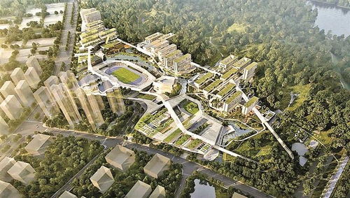 深圳理工大學建設工程項目招標公告 建筑工程標段詳解